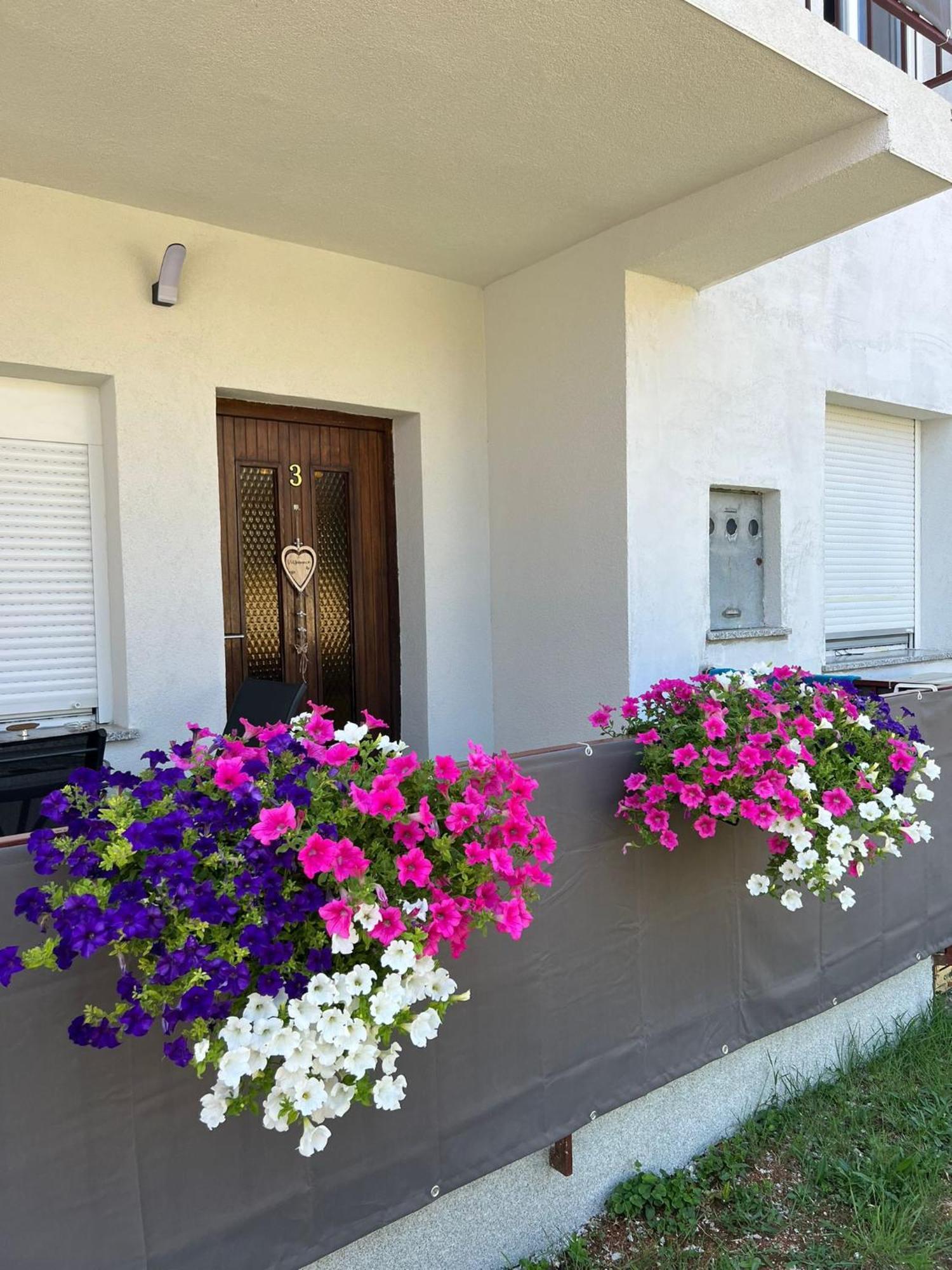 3Level Apartments Kroatien Umag Luaran gambar